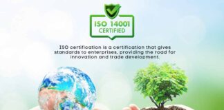 How Should ISO 14001 Certification Impact Your Business