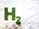 Invest in Green Hydrogen Economy