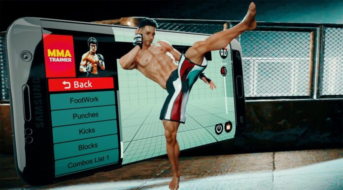 Mixed Martial Arts