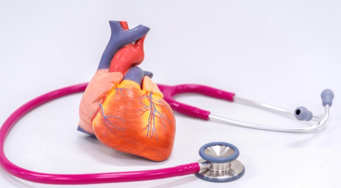 Your Recovery Guide to Living with Atrial Septal Defect