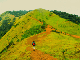 Kodachadri Summit Trek