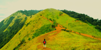 Kodachadri Summit Trek