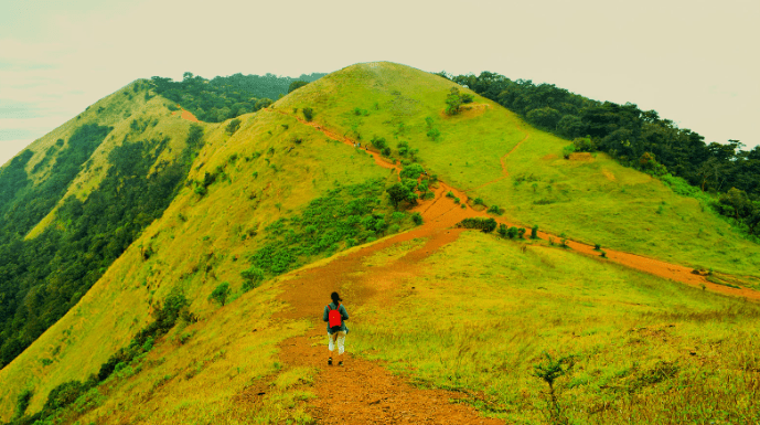 Kodachadri Summit Trek